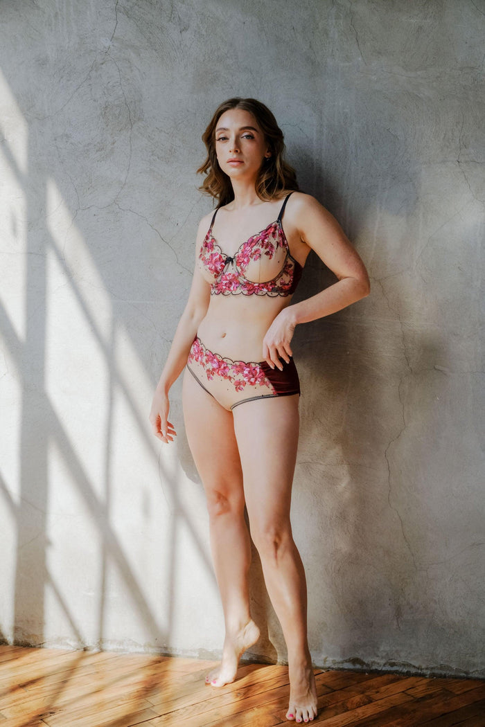Blossom Embroidered Tulle and Velvet Sides Brief - Carol Coelho Intimates