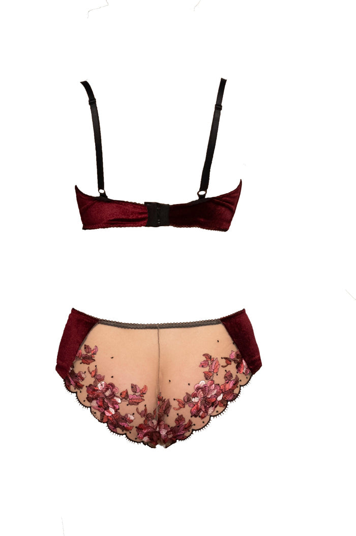 Blossom Floral Embroidered Tulle Underwire Bra - Carol Coelho Intimates