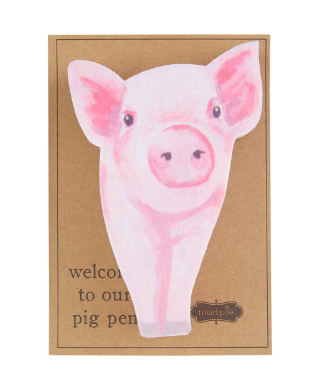 FARM ANIMAL SPONGES