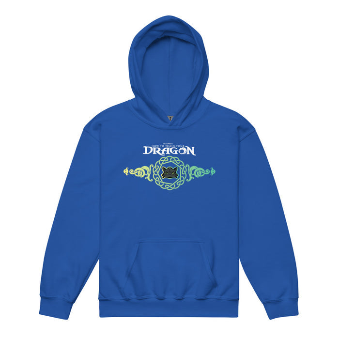 Royal blue youth pullover hoodie featuring a dynamic How To Train Your Dragon Learn To Fly graphic on the front chest
