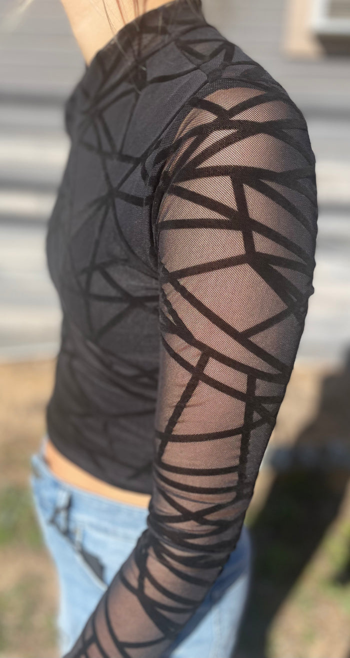 Mesh Black Lined Crop Top