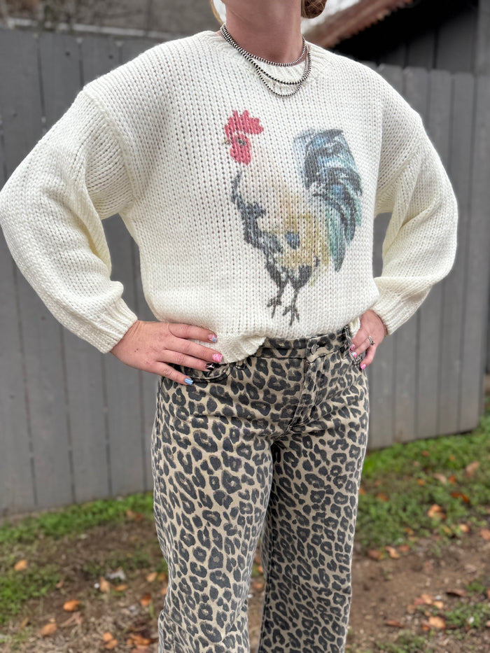 Knitted Chicken Sweater