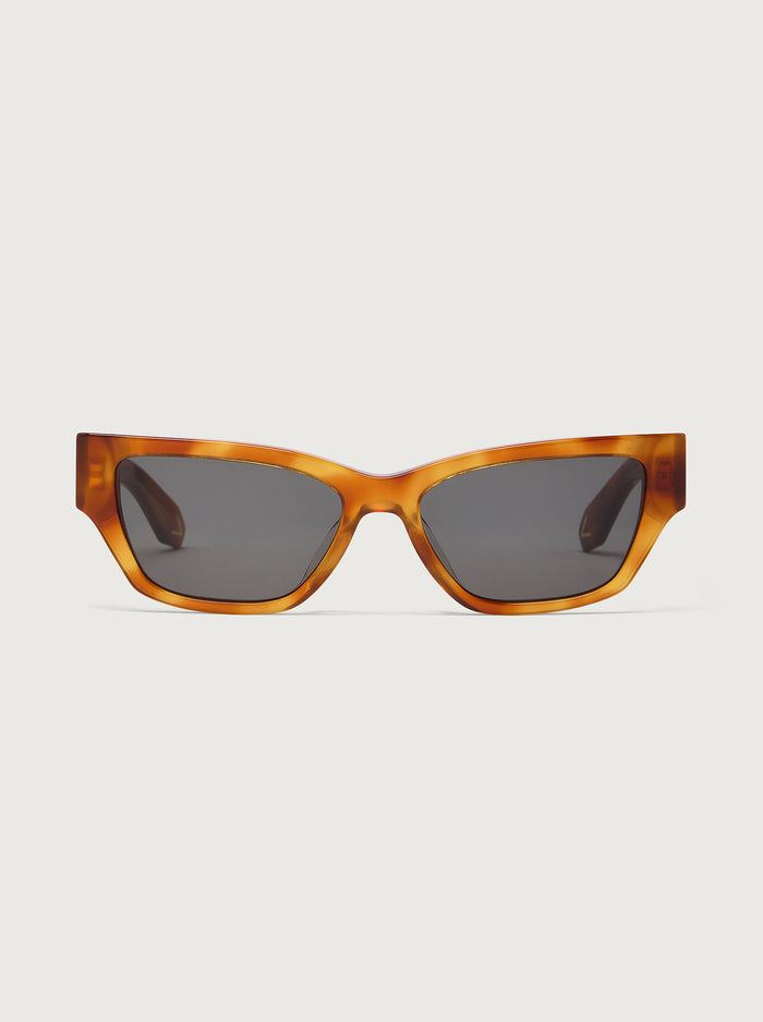 Bright Tortoise