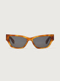Bright Tortoise