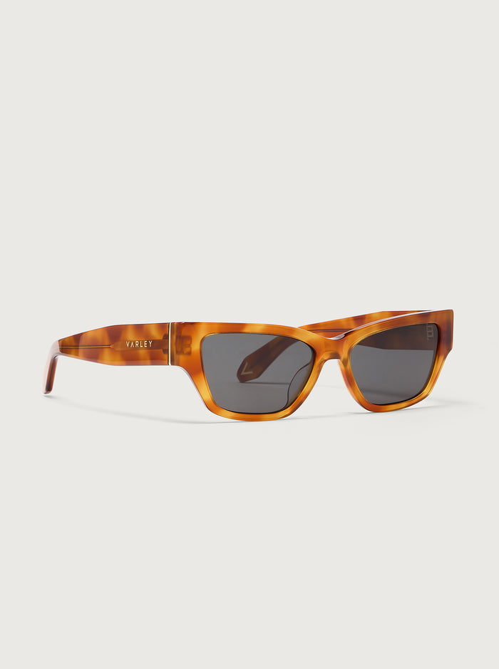 Bright Tortoise