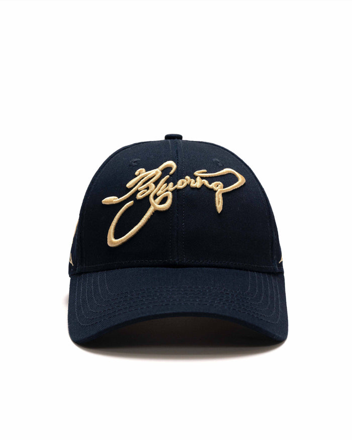 Navy & Beige Cap