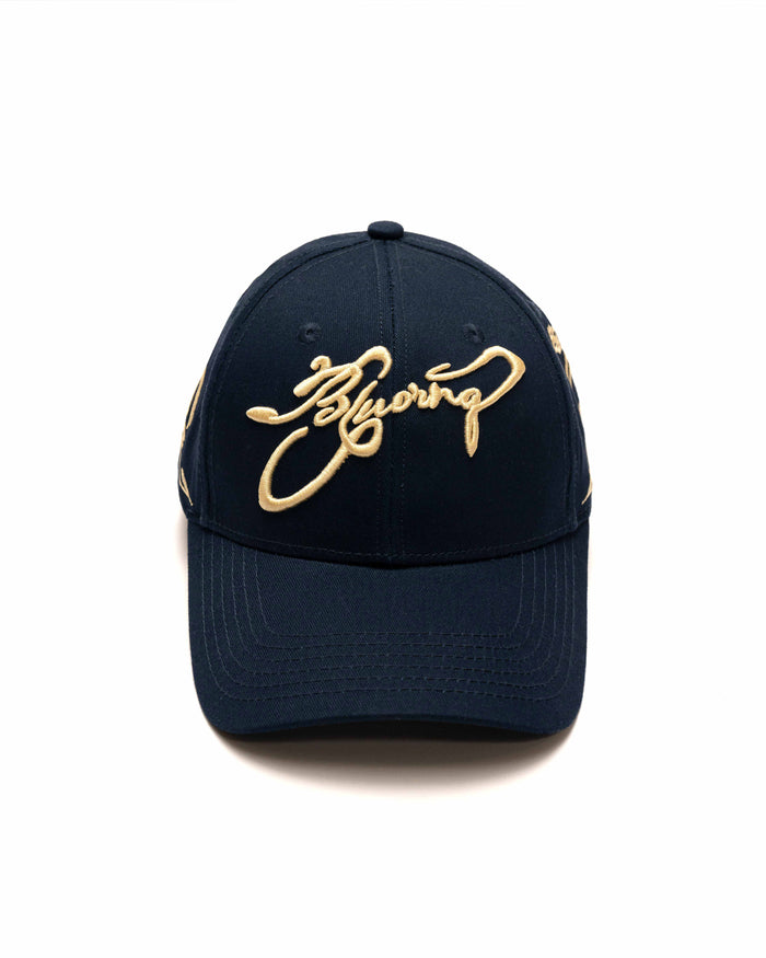 Navy & Beige Cap