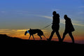 Night Scout Dog Collar