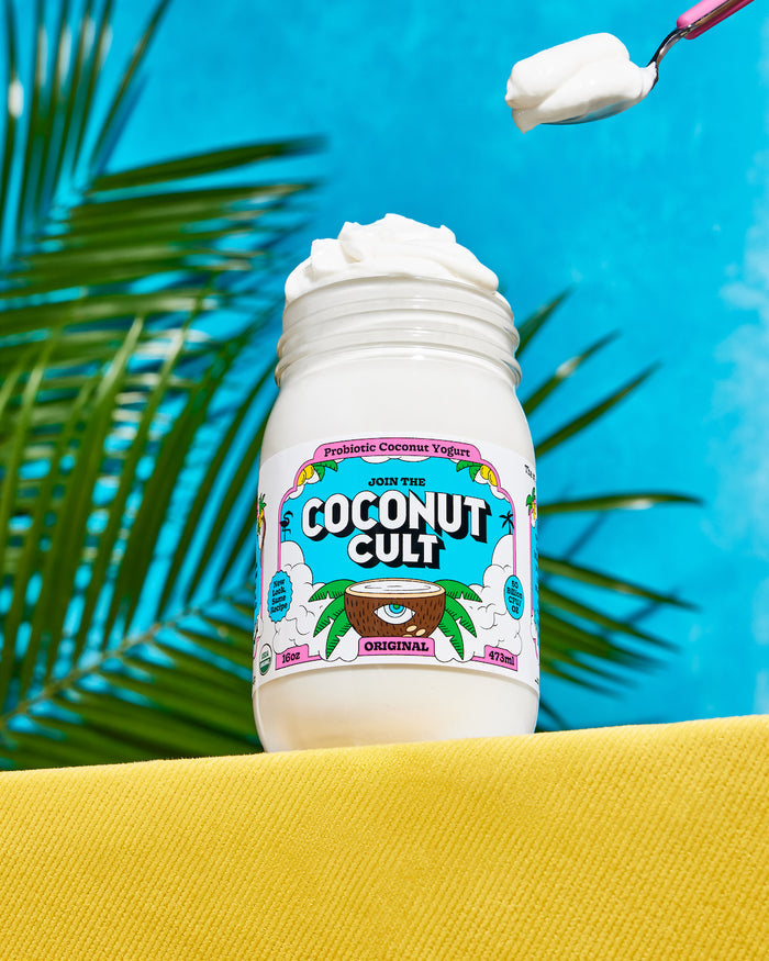 16oz jar of Original Probiotic Coconut Yogurt with 800 billion CFU