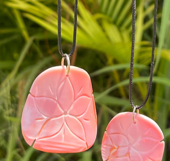 Sand Dollar
