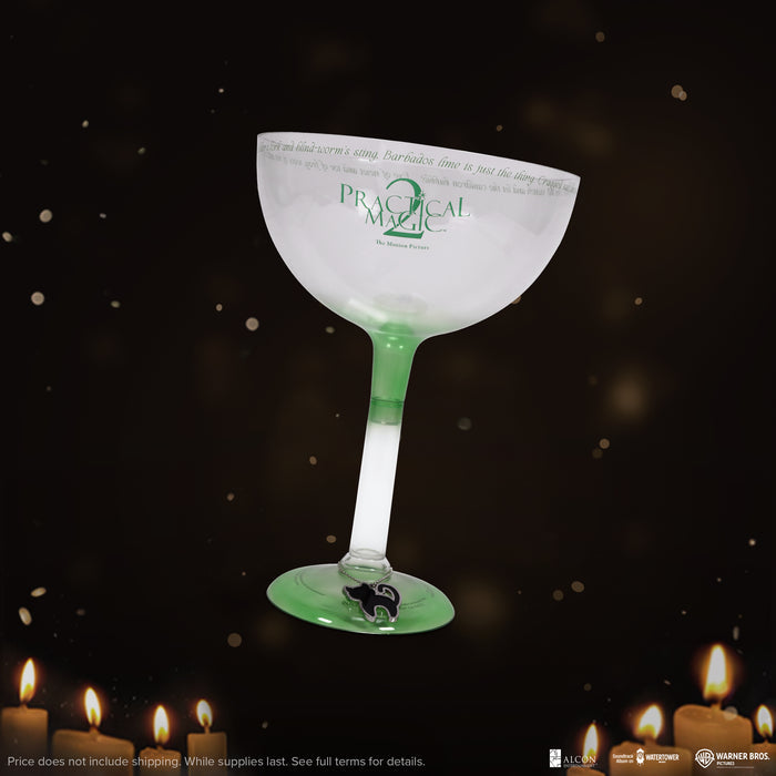 Official Practical Magic 2 Margarita Popcorn Bucket and movie ticket bundle