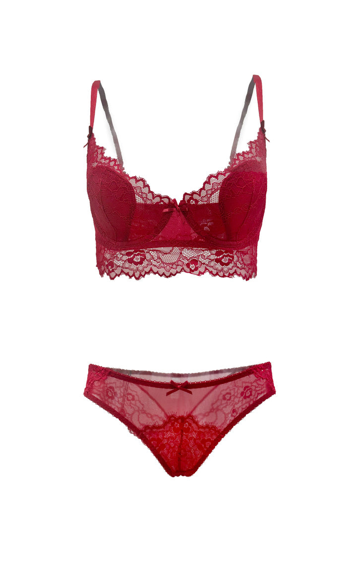 Ruby Nocturne Lace and Mesh Bikini Panty