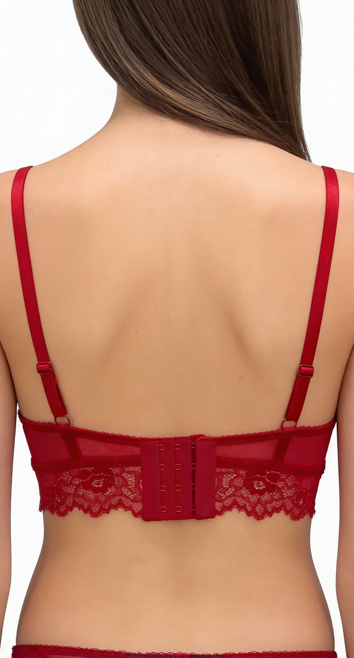 Ruby Nocturne Lace and Mesh Bikini Panty