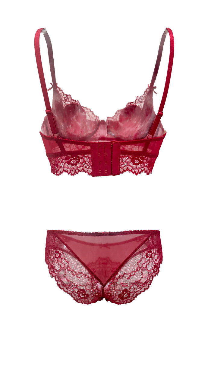 Ruby Nocturne Longline Lace Unlined Demi-Push Up Bra