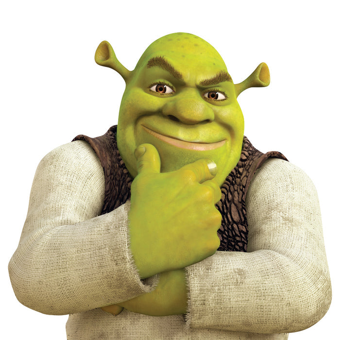 Close-up view of the back of the Shrek standee showing the attached support easel