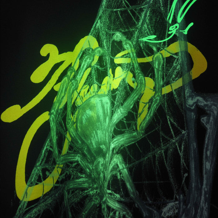 Spider Silk T-Shirt (Glow In Dark)