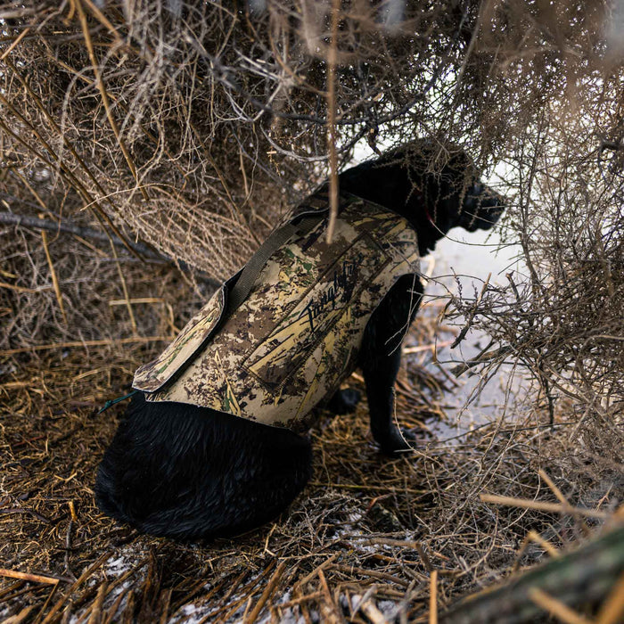 Black dog wearing a camouflage Tanglefree dog blind vest with a top handle, sitting in dense brush by the water.