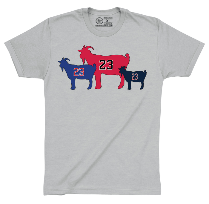 THE CHICAGOATS. - OBVIOUS SHIRTS