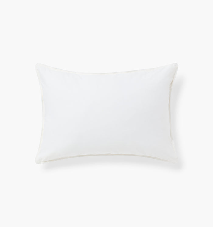 The Throw Pillow Insert